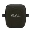 SAL PARCUBE boombox, 100 W, 2db vezeték nélküli mikrofon, 5db hangszóró, LED fényeffekt, IPX5 védelem, Bluetooth
